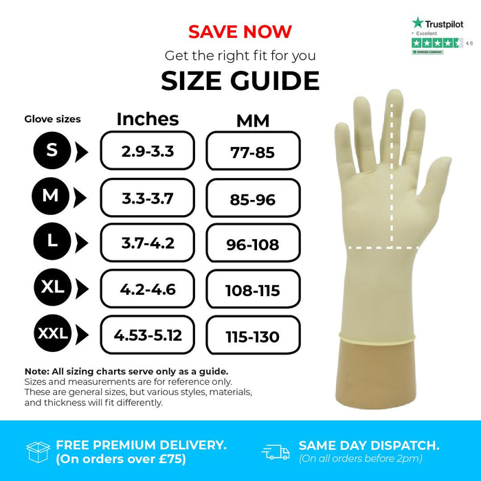 1000 Gloves (10 Boxes) - Disposable Gloves - Powder Free - Latex - Shield GD05® - Champions Gloves