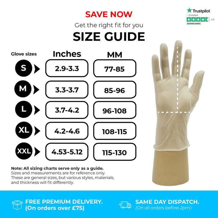 500 Gloves (5 Boxes) - Disposable Gloves - Powder Free - Clear Vinyl - Shield GD09® - Champions Gloves